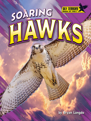 cover image of Soaring Hawks